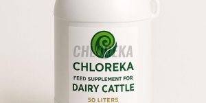 50L Chloreka Dairy Cattle Feed Supplement