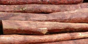 Red Sandalwood Logs