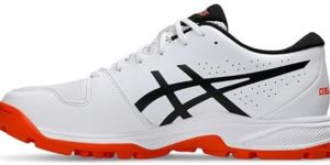 Cricket Shoes