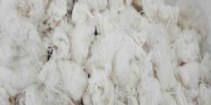 White Cotton Waste