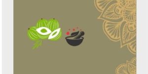 Amla Powder