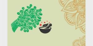 Classic Aroma Methi Powder 100g