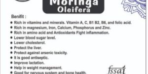 Classic Aroma Moringa Powder 100g