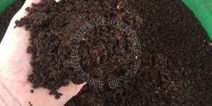 Vermicompost