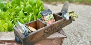 Wooden Caddy for Seeds