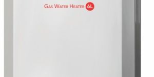 Rico GW1511 Gas Water Heater