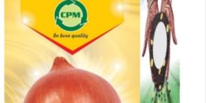 Fursungi Sona Onion Seeds