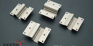 Brass Duck Door Hinges