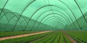 Agriculture Shade Net
