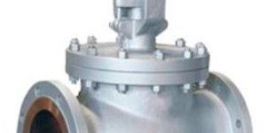 Stainless Steel Gate Valve