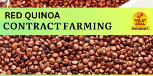 Red Quinoa Contract Farming