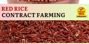 Red Rice Contract Farming