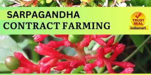 SARPGANDHA CONTRACT FARMING