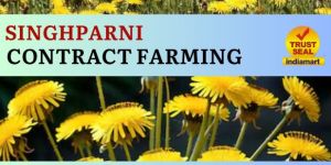 Singhparni Contract Farming
