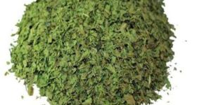 Dried Dhaniya Patta