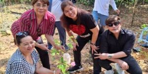 Agarwood Plantation Service