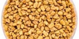 Fenugreek Seed
