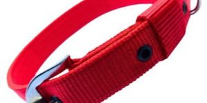 Dog Collars