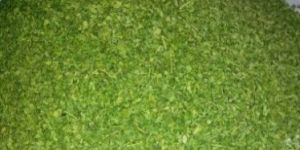 Moringa Tea Cut Leaf