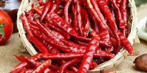 Dry Red Chilli