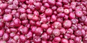 Fresh Red Onion