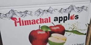 Apple Corrugated Boxes