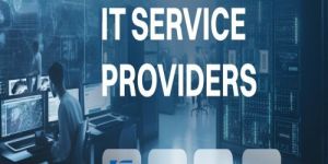 Managed Information Technology Service