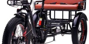 Electric Tricycle with Two Seater