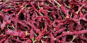 Byadgi Kdl Dry Red Chilli