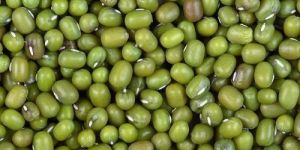 Green Moong Beans