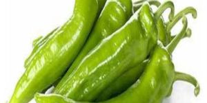 INDIAN GREEN CHILLI