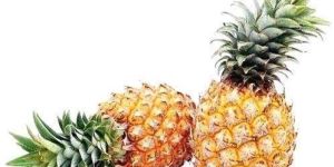 Premium Sweet & Tangy Pineapple