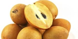 Sweet Malty Export Quality Chikoo