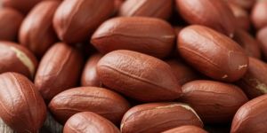 Peanut Kernels