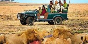 south africa katavi safari tour