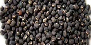 Black Gram