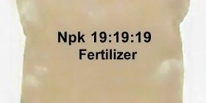 NPK 19:19:19 Fertilizer