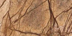 Rainforest Brown Marble Slab