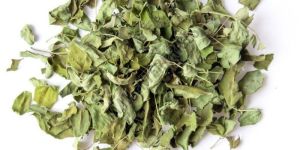 Premium Dried Moringa Oleifera Leaves