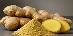 Dehydrated Ginger Powder