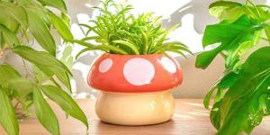 Mushroom Bliss Ceramic Planter