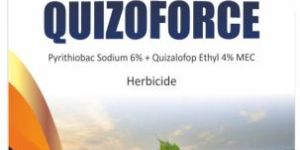 Pyrithiobac Sodium 6% + Quizalofop-ethyl 4% EC
