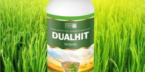 Sodium Acifluorfen 16.5% + Clodinafop-Propargyl 8% EC