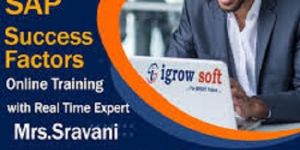 Sap Online Training Institute