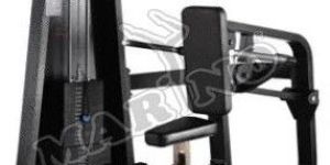 Triceps Dips Gym Machine
