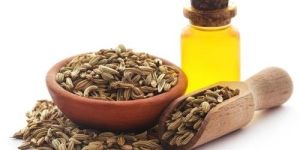Fennel Seed Oil