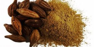 Terminalia Chebula Extract