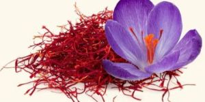 Saffron Essential Oil
