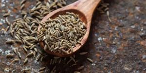 Cumin Seeds