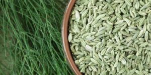 Fennel Seeds